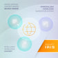 IDIADA’s Automotive Regulatory Knowledge Tool (IRIS) IDIADA